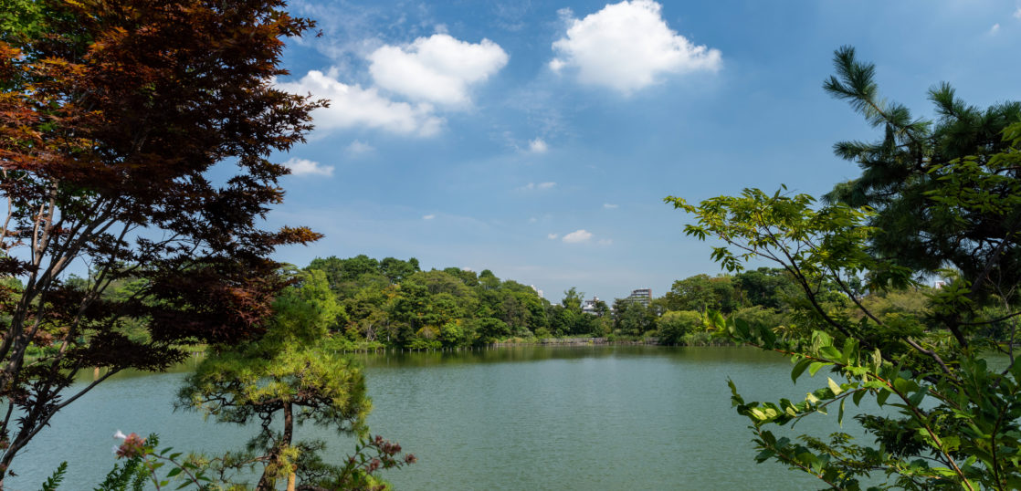 おすすめ 東京カメラ散歩 東急池上線沿線 株式会社全国設備cadセンター 設備設計 設計アウトソーシング 建築確認申請図面 給排水図面 トレース