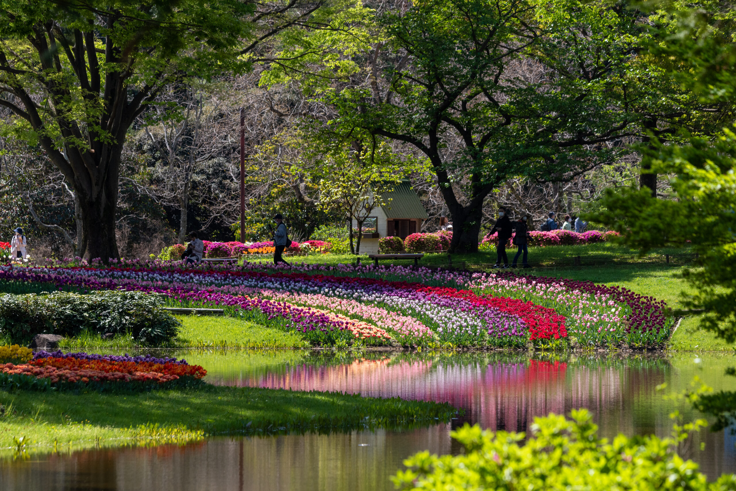 昭和記念公園は季節の花や植物がたくさん！